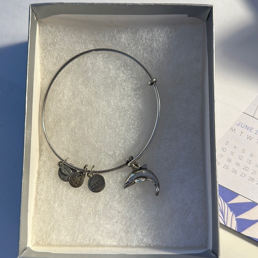 Alex and ani dolphin charm bracelet